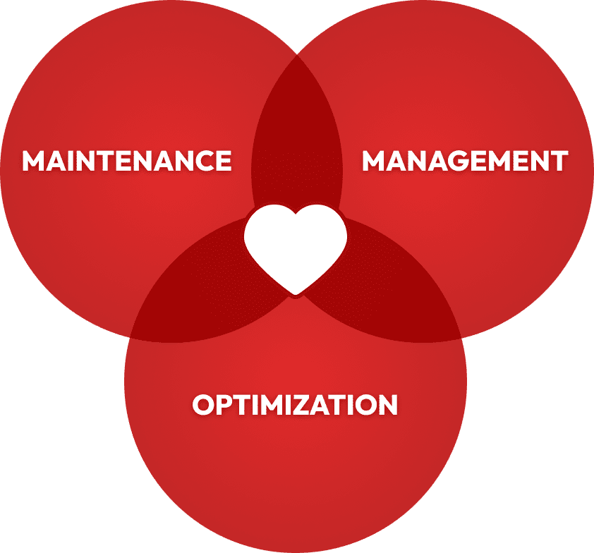 Chart of the services Awesome Cause offers: Maintenance, Management, and Optimization